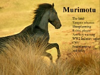 Murimotu1